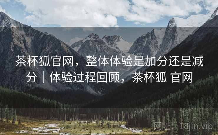茶杯狐官网,整体体验是加分还是减分|体验过程回顾,茶杯狐 官网